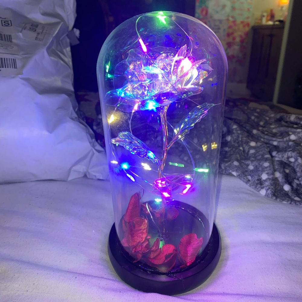 Glass light up rose in jar!!